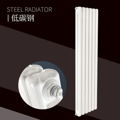 钢制60X30方双柱散热器