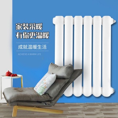 京帝皇暖气片钢制 家用水暖散热器片 壁挂式自采暖散热器钢60