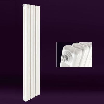 钢制60X30方双柱散热器