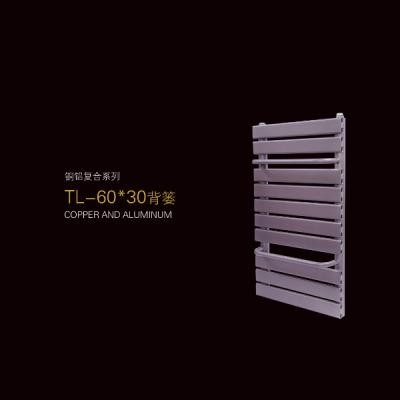60X30卫浴散热器