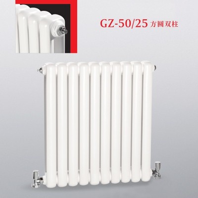 散热器暖气片家用水暖壁挂式钢制装饰散热片50x25方圆双柱