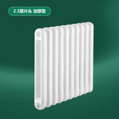 钢制60X30圆双柱散热器