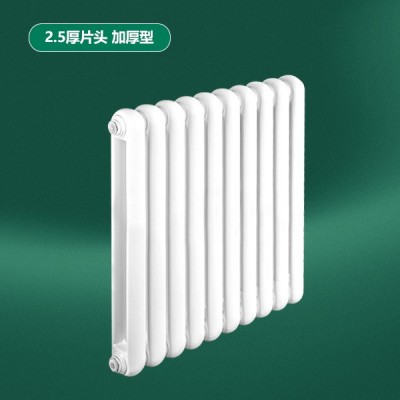 钢制50X25圆双柱散热器