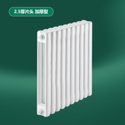 钢制50X25方双柱散热器