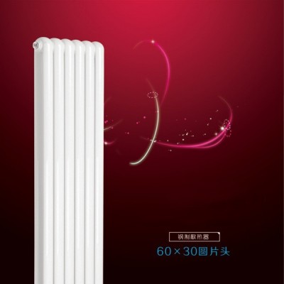 60X30圆片头散热器