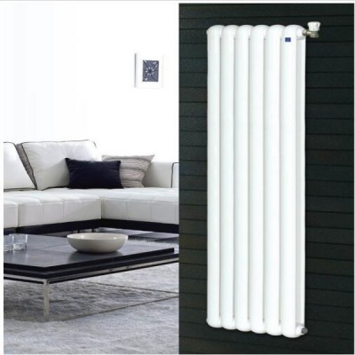 钢制暖气片散热器 钢管圆双柱一体片头60×30散热器