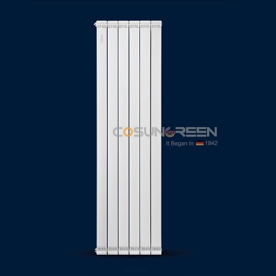 铜铝复合散热器 80-KSGL