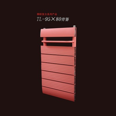 TL-95x80背篓散热器
