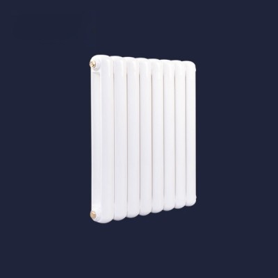 钢制60X30散热器