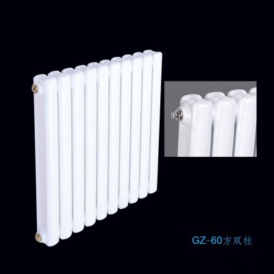 钢制60方双柱散热器
