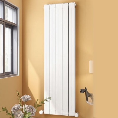 铜铝复合80X60散热器