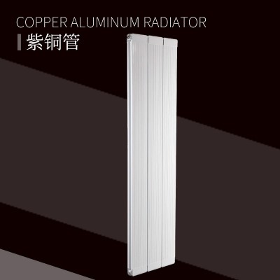 铜铝复合120X60散热器