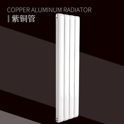 铜铝复合100X80散热器