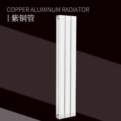 铜铝复合100X75散热器