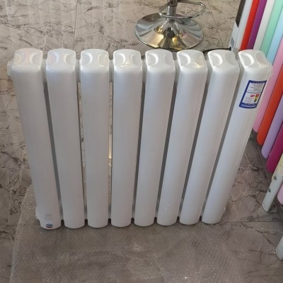 钢制60方双柱散热器家用水暖暖气片壁挂式自采暖