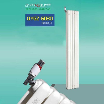 钢制60×30散热器