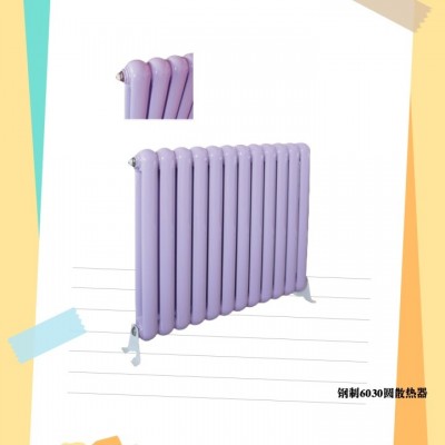 钢制60X30圆散热器