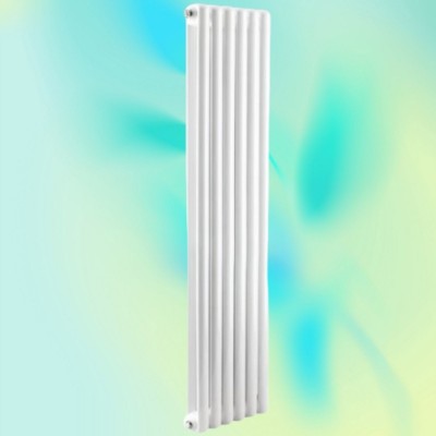 钢制60X30方圆双柱散热器