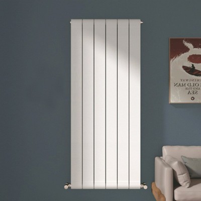 铜铝100×80散热器