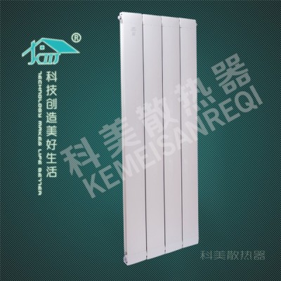 铜铝134X60散热器