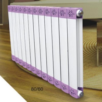 铝复合80X60散热器