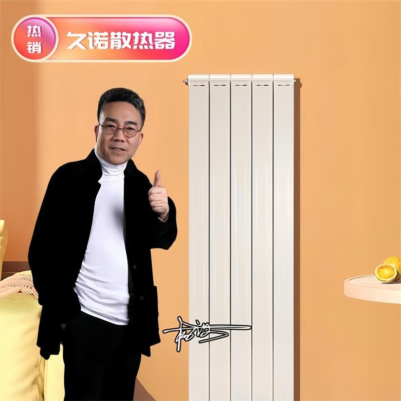 壁挂式铜铝复合暖气