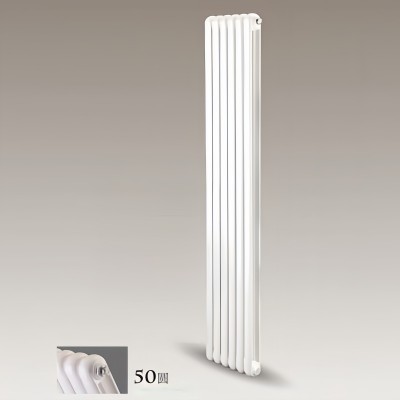 钢制50双柱散热器