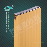 铜铝爱情海12065散热器