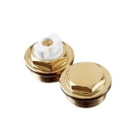 threaded plug