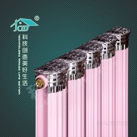铜铝罗马圆散热器