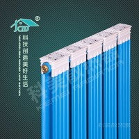 铜铝罗马方散热器