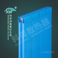铜铝12060散热器