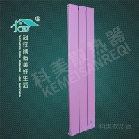 铜铝132X65散热器