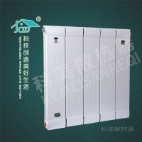 铜铝120X60散热器