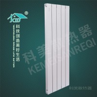铜铝100X75散热器