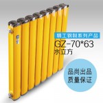 GZ-70×63水立方散热器
