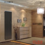 50x25圆片头散热器