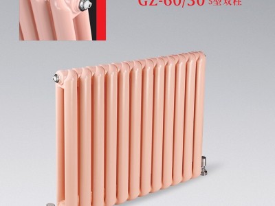 钢制60x30S型双柱散热器