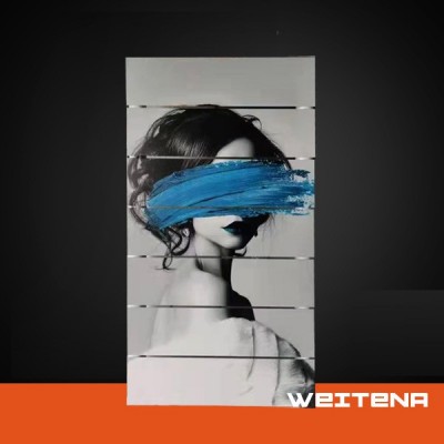 维特纳新款背篓散热器
