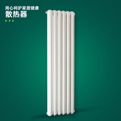 钢制60X30圆散热器