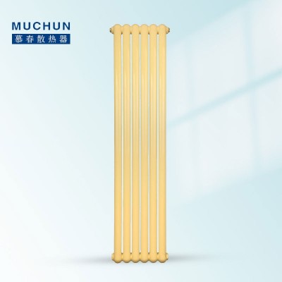 钢制60X30散热器