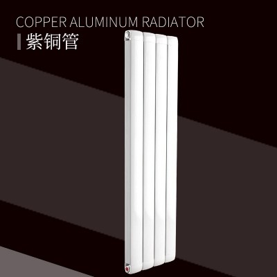 铜铝复合100X80散热器