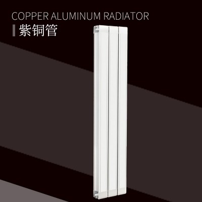 铜铝复合100X75散热器