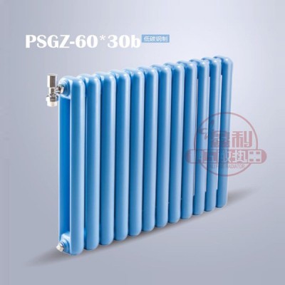 钢制60X30b散热器