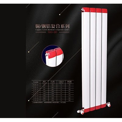天邦散热器100-80