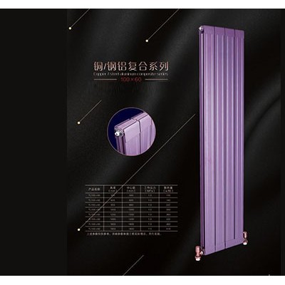 天邦散热器100-60
