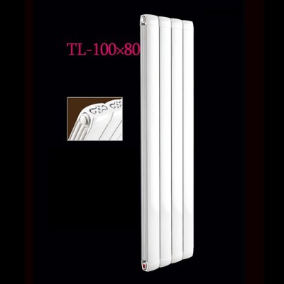 铜铝复合100X80散热器