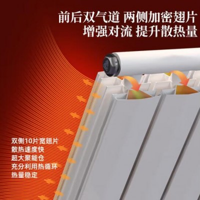金瑞阳散热器_双气道 加大翅片铜铝暖气片