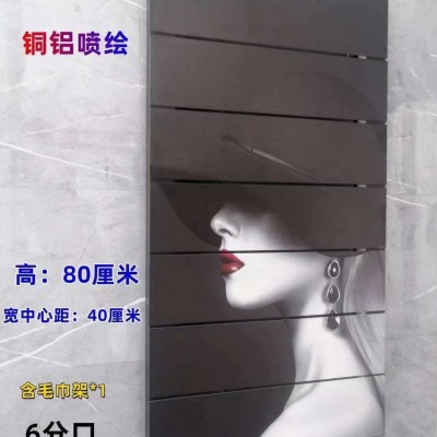 艺术造型暖气片_铜铝复合暖气壁挂式_卫浴定制_铜铝80高背篓