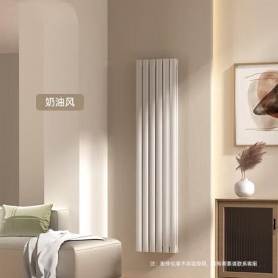 壁挂式明装钢制暖气片家用 6030